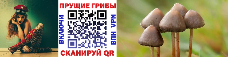 Галлюциногенные грибы ЛСД  hydra ссылки  Абакан 