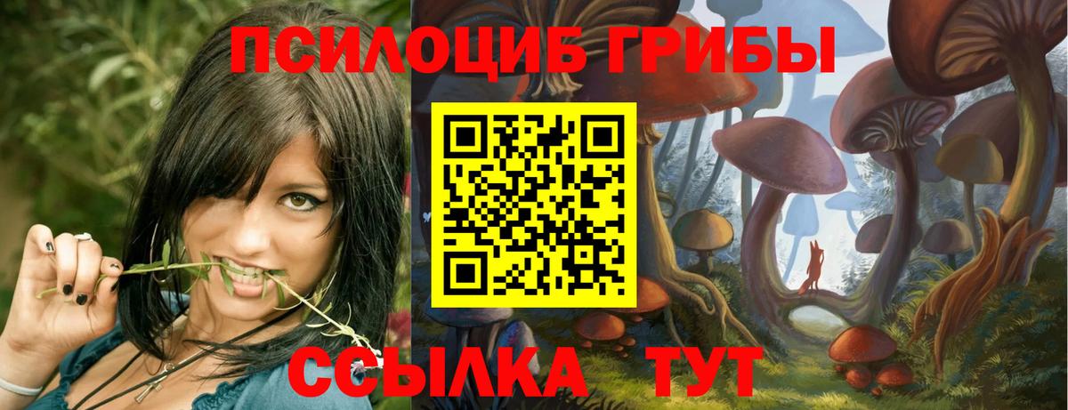 Псилоцибиновые грибы Magic Shrooms Абакан
